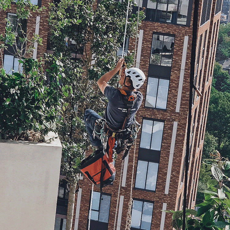 ETW boomverzorger Eindhoven – Industrieel klimmen boomonderhoud