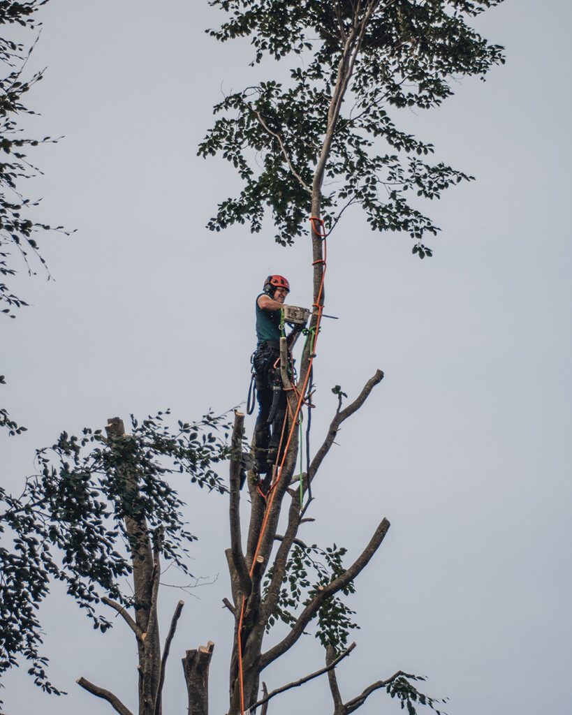 Robert Beekvelt ETW boomverzorger stormschade boom
